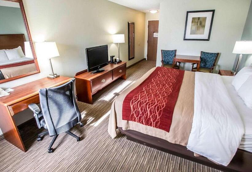 Номер Стандарт Кровать Кинг Адаптированный для Инвалидов, Comfort Inn
