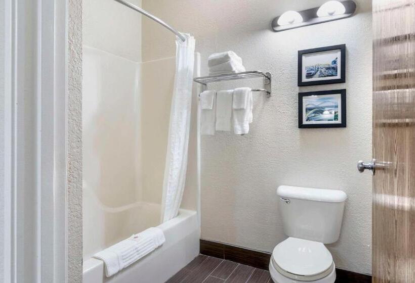 Номер Стандарт, Comfort Inn & Suites