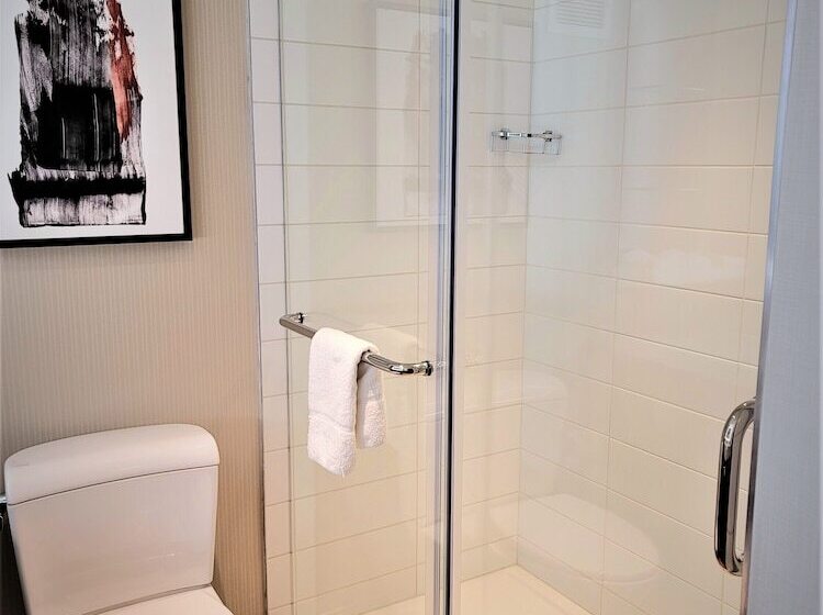Номер Стандарт Адаптированный для Инвалидов, Delta Hotels By Marriott Denver Thornton