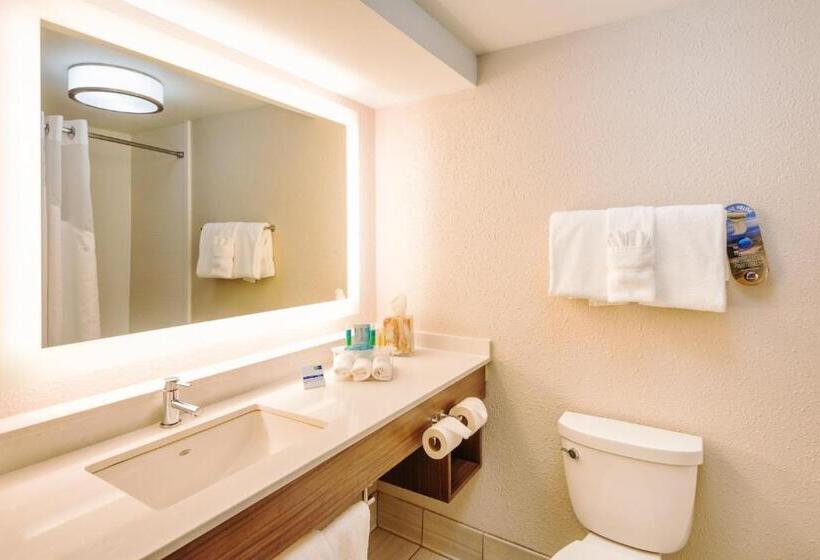 Suite King Size Bed, Holiday Inn Express Charleston Us Highway 17 & I 526, An Ihg