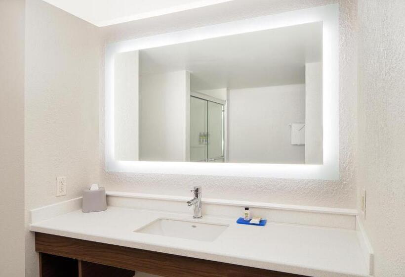 Стандартный Номер Кровать Кинг, Holiday Inn Express Statesboro, An Ihg