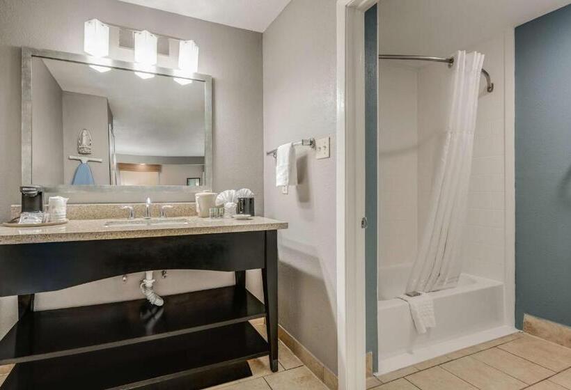 带大床的套房, Best Western Huntsville