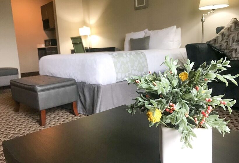 스탠다드 룸 더블 침대, Best Western Plus La Mesa San Diego