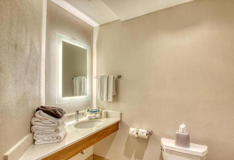 Люкс Адаптированный для Инвалидов, Holiday Inn Express Hotel & Suites Oshkosh   State Route 41, An Ihg