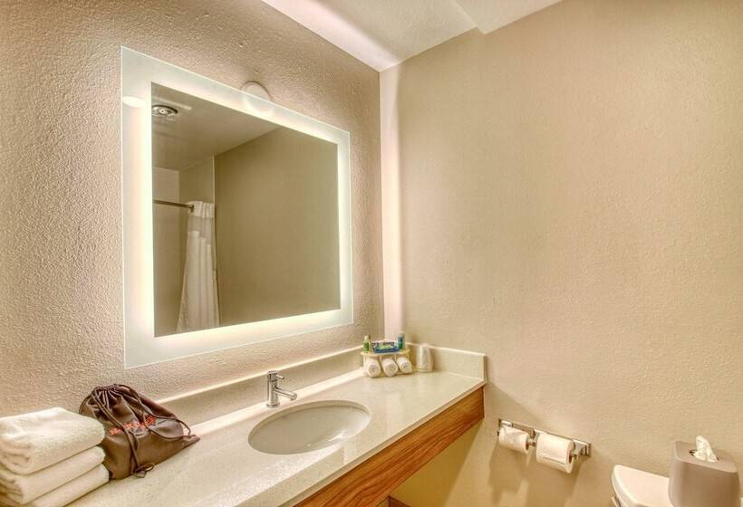 Номер Стандарт Адаптированный для Инвалидов, Holiday Inn Express Hotel & Suites Oshkosh   State Route 41, An Ihg