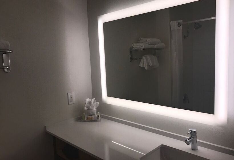 스위트, Holiday Inn Selma   Swancourt By Ihg