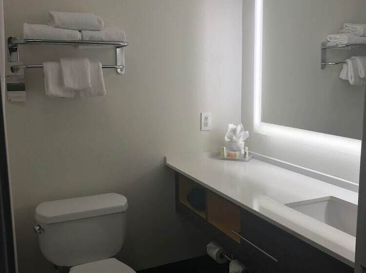 스탠다드 룸, Holiday Inn Selma   Swancourt By Ihg