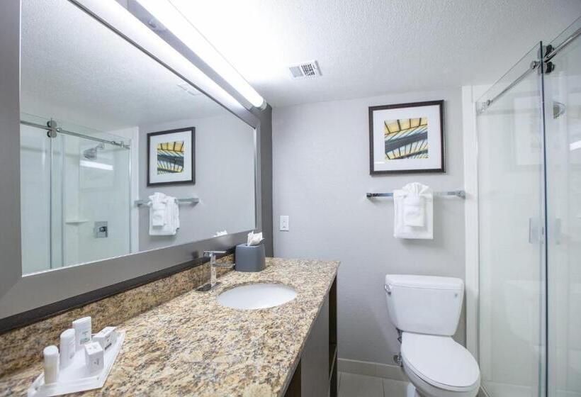 스위트 킹사이즈 침대, Holiday Inn St Louis Sw   Route 66, An Ihg