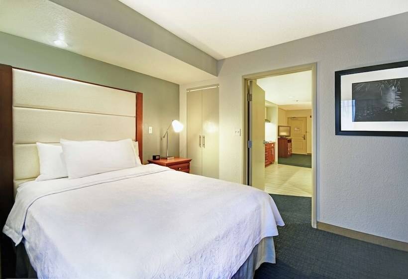 带2个卧室的套房, Homewood Suites By Hilton Seattle Downtown