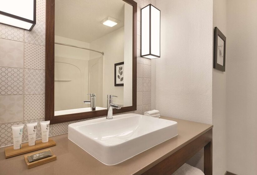 Номер Стандарт Адаптированный для Инвалидов, Country Inn & Suites By Radisson, Rj Stadium   Tampa Airport East