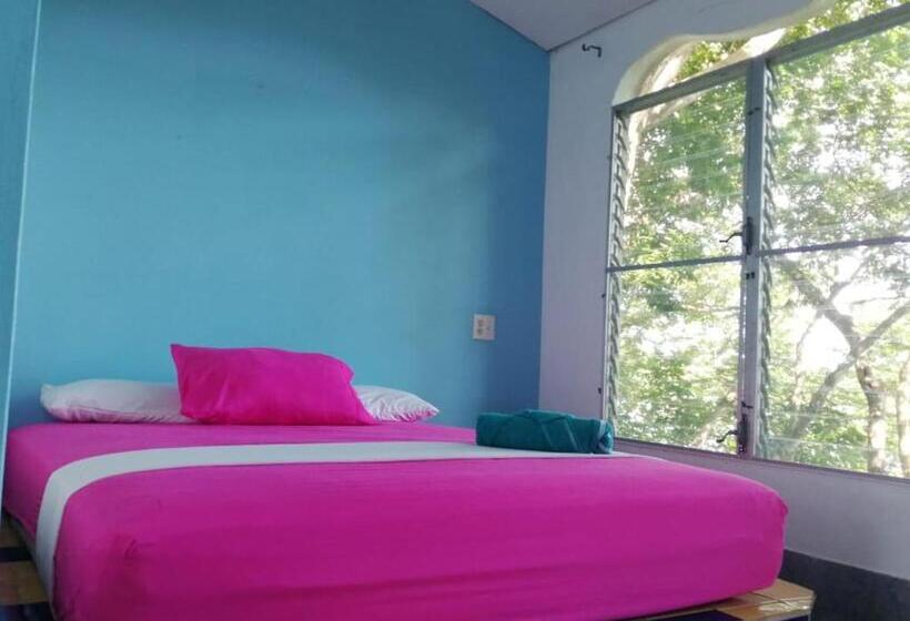 4인용 스탠다드 룸, Boca Brava Lodge