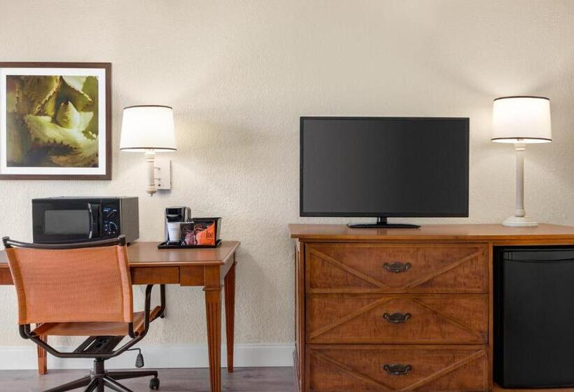 Стандартный Номер Кровать Кинг, Baymont By Wyndham Daytona Beach   Intl Speedway