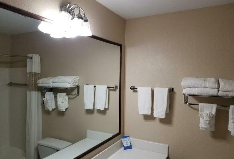 Suite Lit King, Baymont By Wyndham Plainfield/ Indianapolis Arpt Area