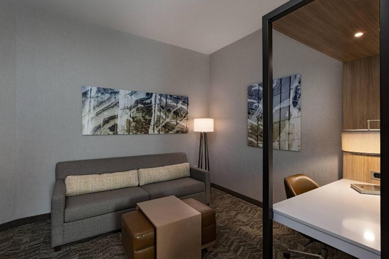 带大床的套房, Springhill Suites Waco