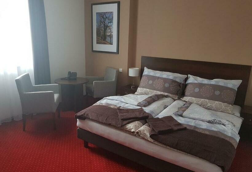 스탠다드 룸, Wellness Hotel Harmonie Třeboň