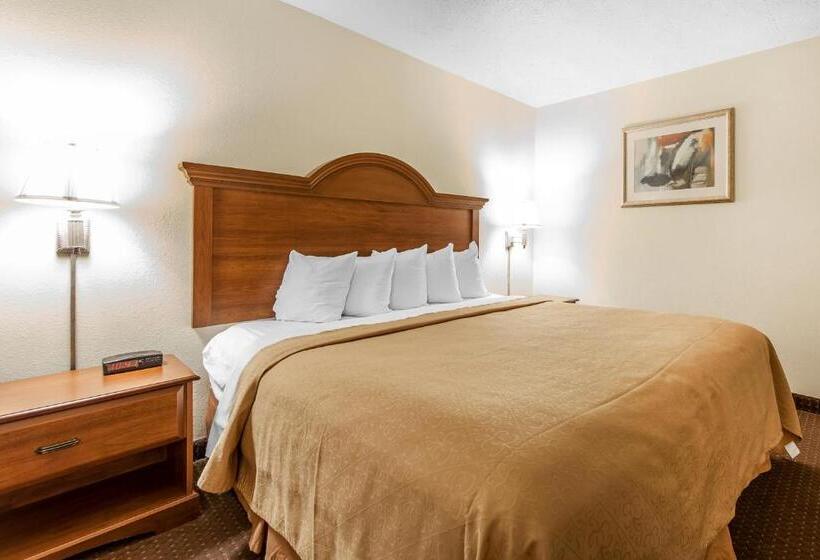 带大床的套房, Quality Inn & Suites At Dollywood Lane