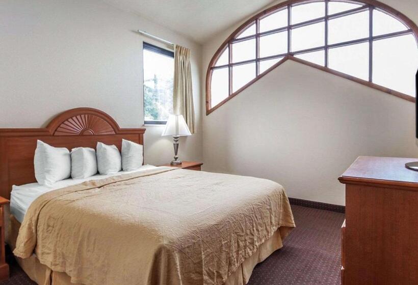 带大床的套房, Quality Inn & Suites At Dollywood Lane