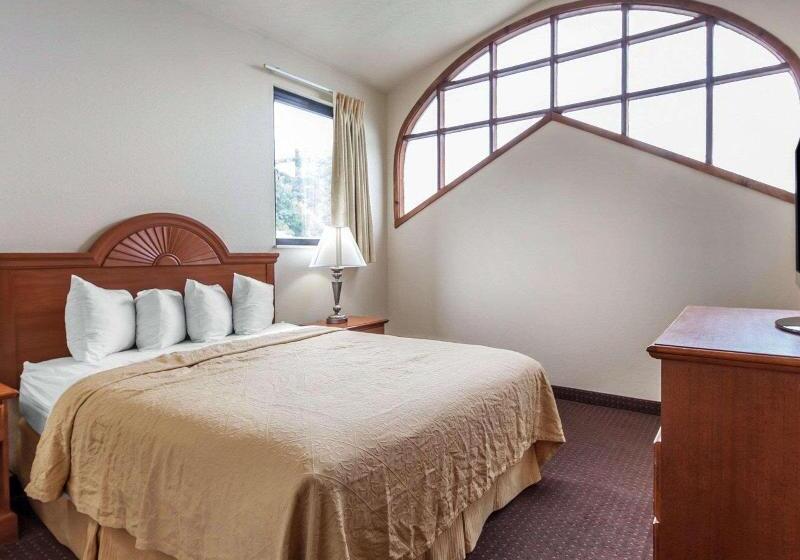 带大床的套房, Quality Inn & Suites At Dollywood Lane