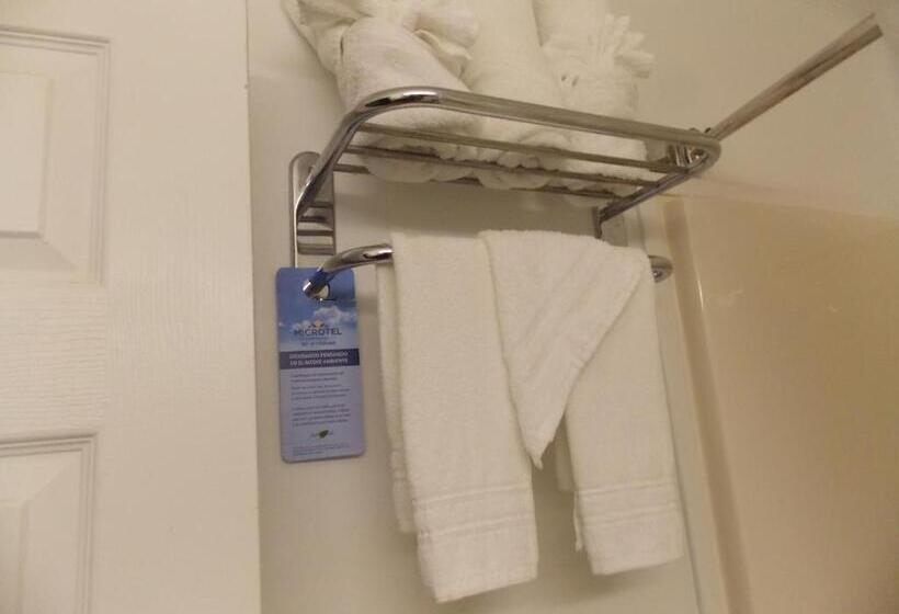 キングサイズベッドのスタンダードルーム, Microtel Inn By Wyndham Athens