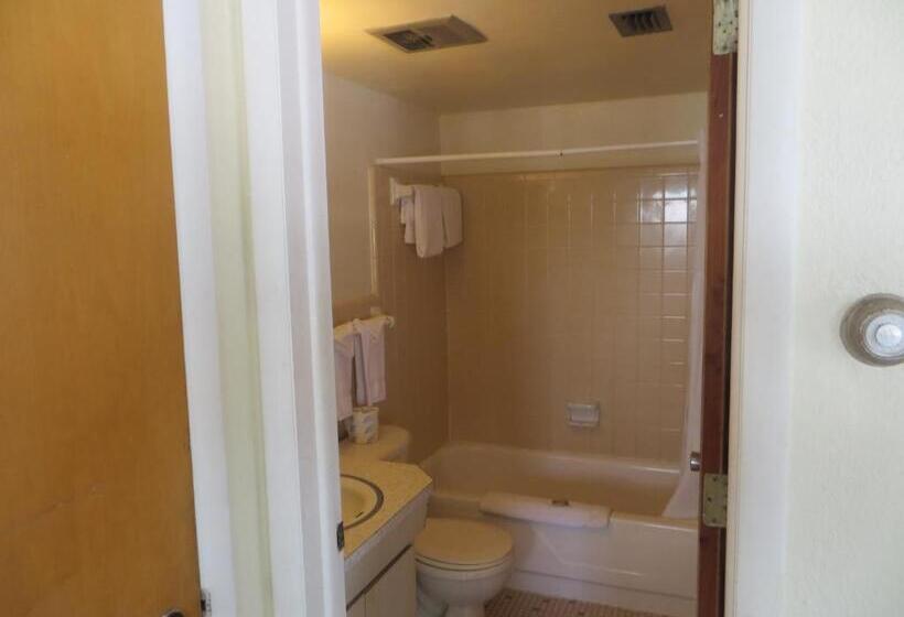سوئیت با تخت بزرگ, The Molloy   Treasure Island Suites & Cottages
