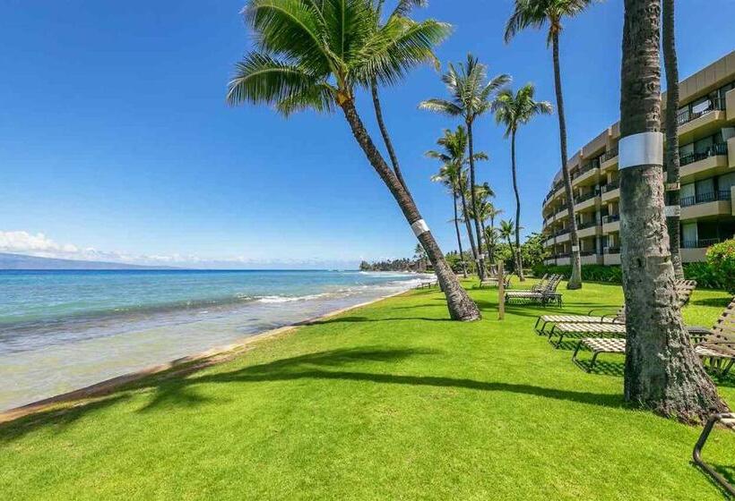 آپارتمان لوکس 1 خوابه, Maui Vista