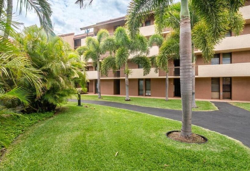 آپارتمان 1 خوابه با بالکن, Maui Vista