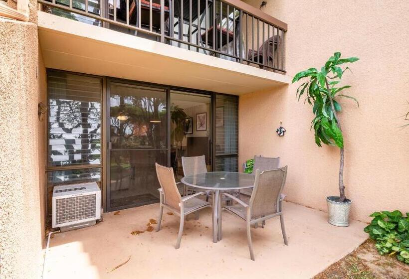 آپارتمان 1 خوابه با بالکن, Maui Vista