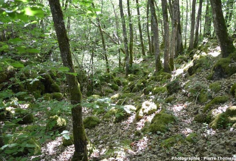 Семейный Номер, Entre Lacs Et Volcans