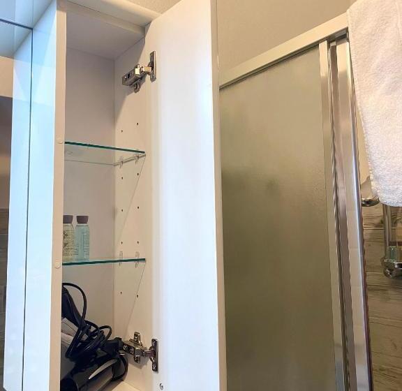 غرفة قياسية فردية, Dani's House