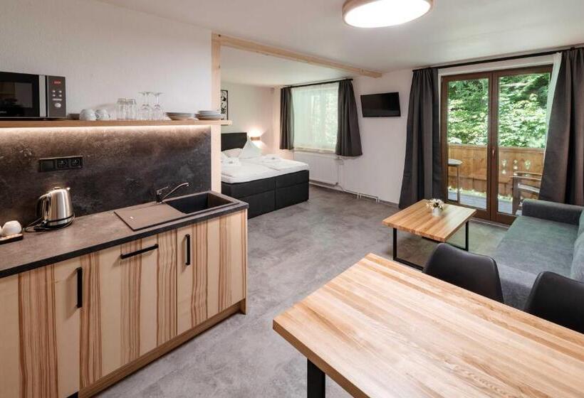 Апартаменты 1 Спальня, Wellness Aparthotel Martiňák