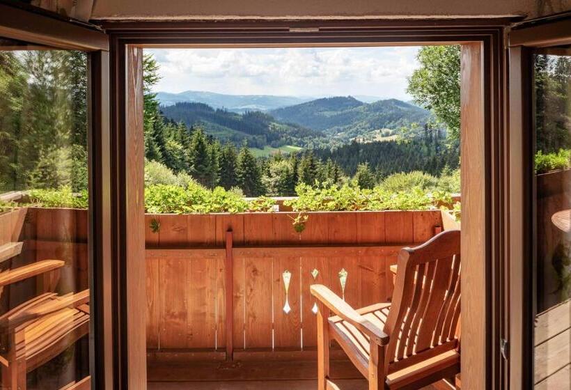 Апартаменты Superior 1 Спальня, Wellness Aparthotel Martiňák