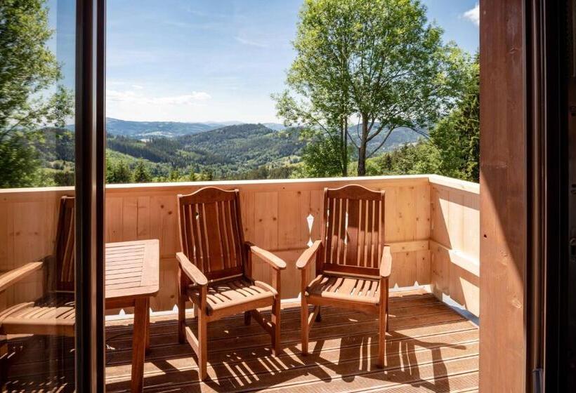 Апартаменты Deluxe 1 Спальня, Wellness Aparthotel Martiňák