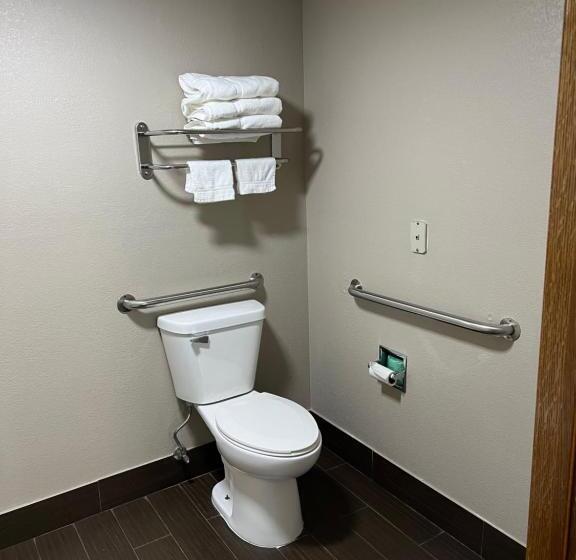 장애인을 위한 킹사이즈 침대 스탠다드 룸, Westbridge Inn And Suites