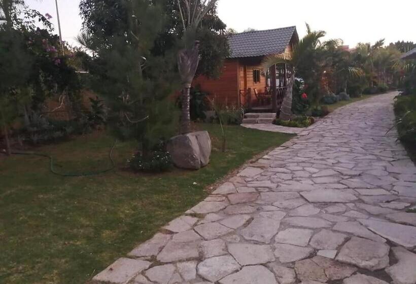 スタンダードルーム, Cabañas La Finca 2
