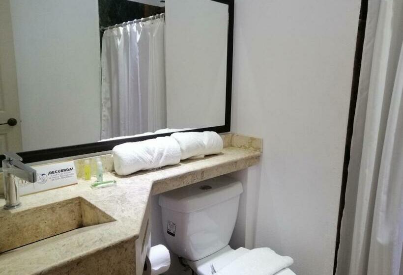 اتاق استاندارد با تخت بزرگ برای معلولان, Los Portales Chignahuapan