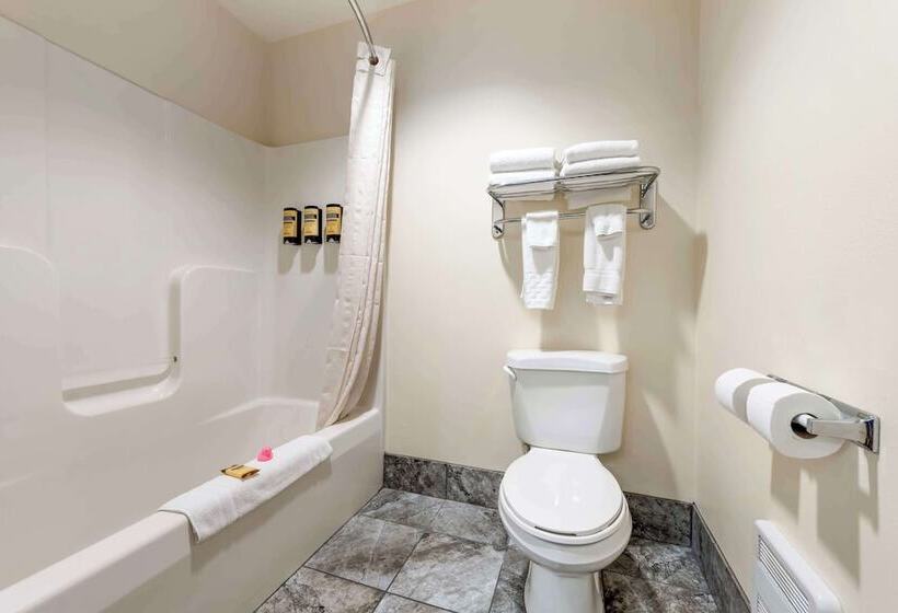 Люкс, Best Western Plus Eau Claire Conference Center