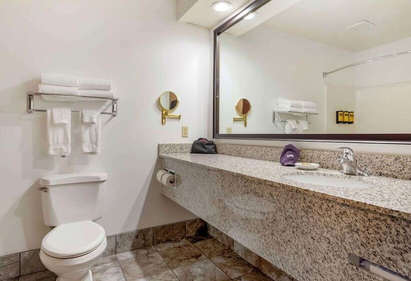 Люкс, Best Western Plus Eau Claire Conference Center