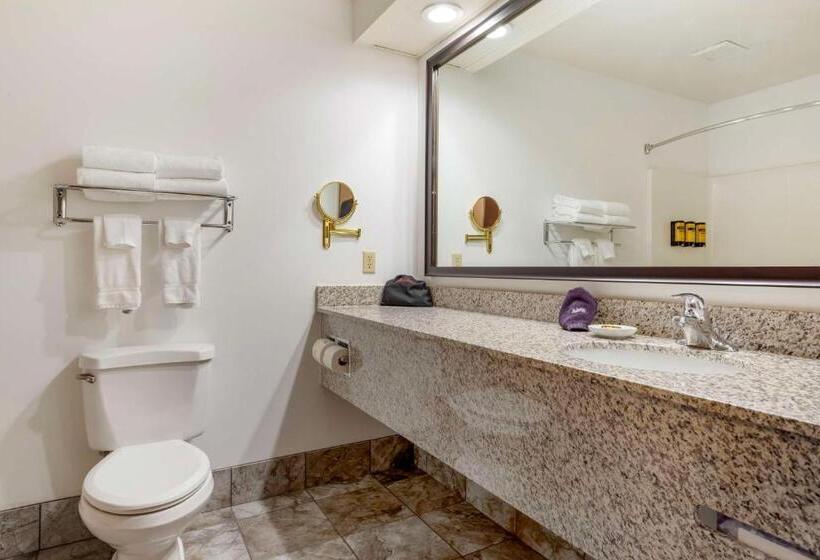 Стандартный Номер Кровать Кинг, Best Western Plus Eau Claire Conference Center