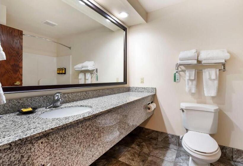 Номер Стандарт, Best Western Plus Eau Claire Conference Center