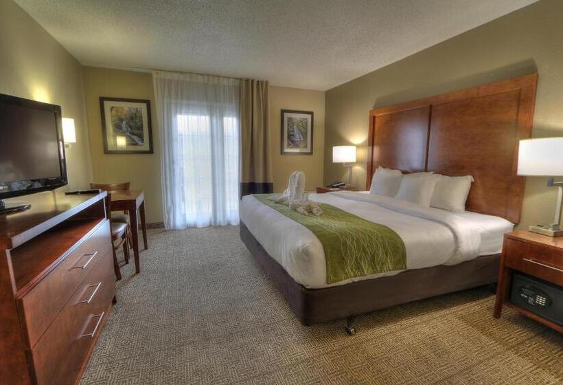 带大床的标准间, Comfort Inn & Suites At Dollywood Lane