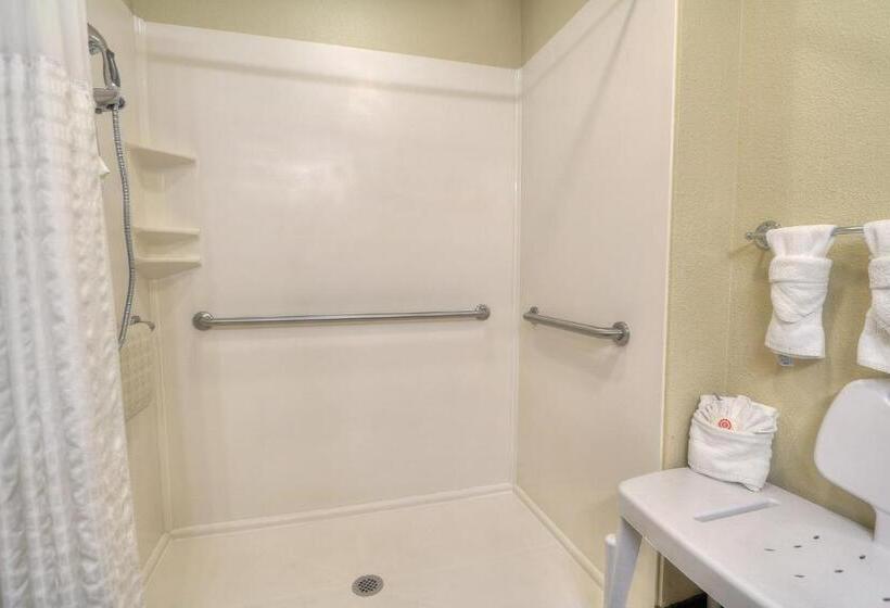 适合残疾人士使用的带超级大床的标准间, Comfort Inn & Suites At Dollywood Lane