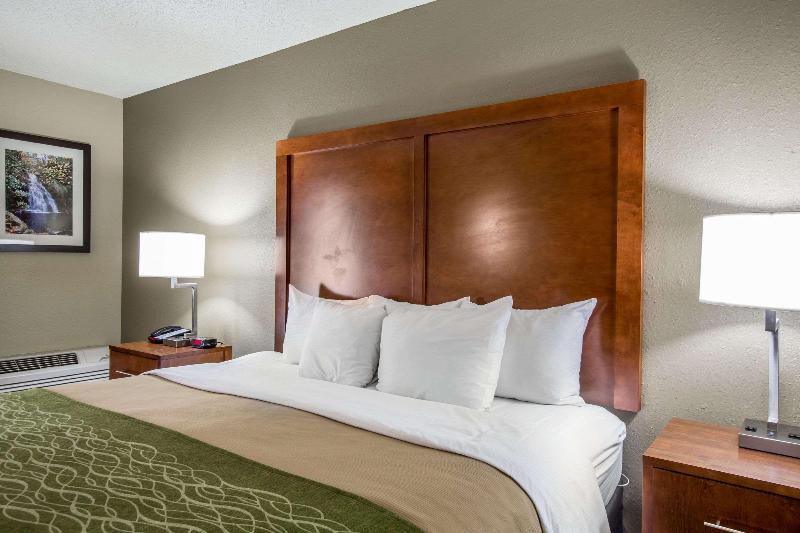 带大床的标准间, Comfort Inn & Suites At Dollywood Lane