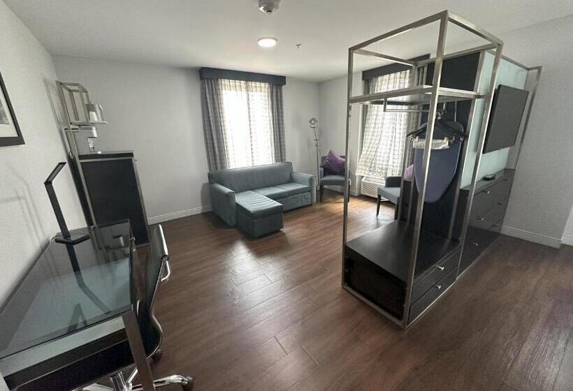 מיטת קינג בסוויטה, Holiday Inn Express   Dallas Downtown, An Ihg