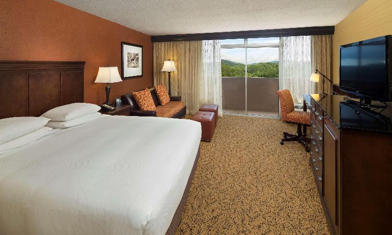 Pokój Standard z Widokiem, The Park Vista   A Doubletree By Hilton Hotel   Gatlinburg