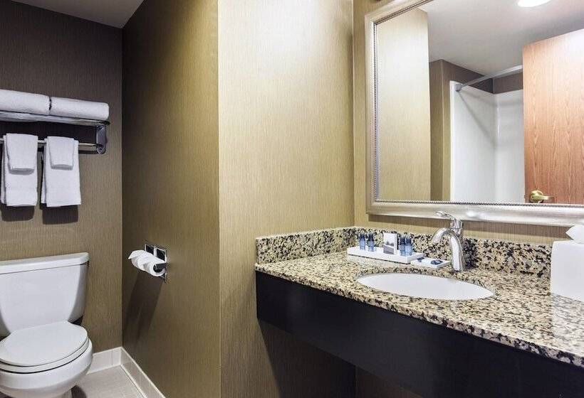 Люкс, Delta Hotels By Marriott Fargo