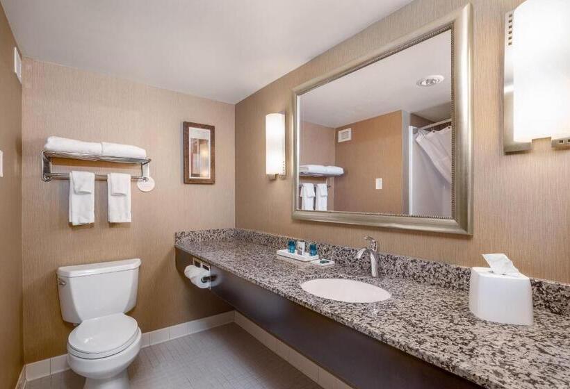 Люкс Кровать Кинг, Delta Hotels By Marriott Fargo