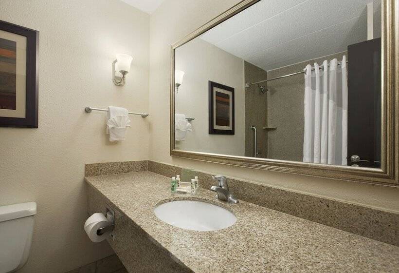 스탠다드 룸, Holiday Inn And Suites Charleston West, An Ihg