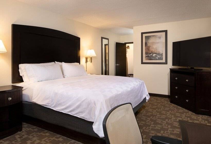 장애인을 위한 스위트, Holiday Inn And Suites Charleston West, An Ihg