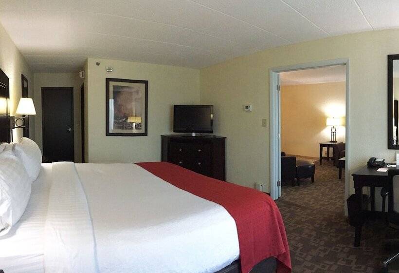 스위트, Holiday Inn And Suites Charleston West, An Ihg