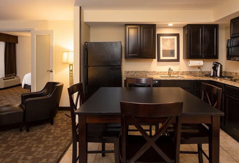 장애인을 위한 스위트, Holiday Inn And Suites Charleston West, An Ihg
